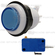33mm Button with White Rim and Flat Plunger - Blue