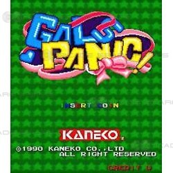 Gals Panic Arcade PCB (Z)